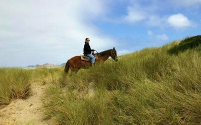 Horseback Riding the Oregon Coast with Green Acres Beach & Trail Rides