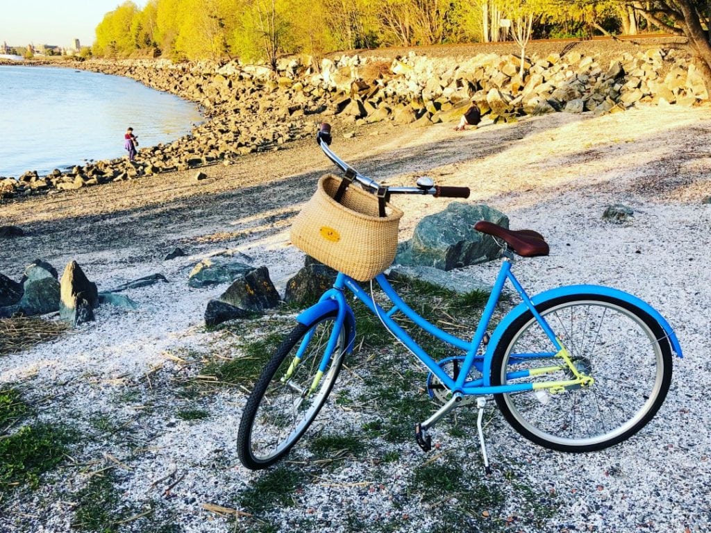 nantucket lightship bike basket