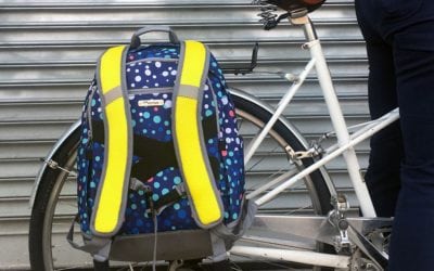 Po Campo Irving Backpack Pannier Review